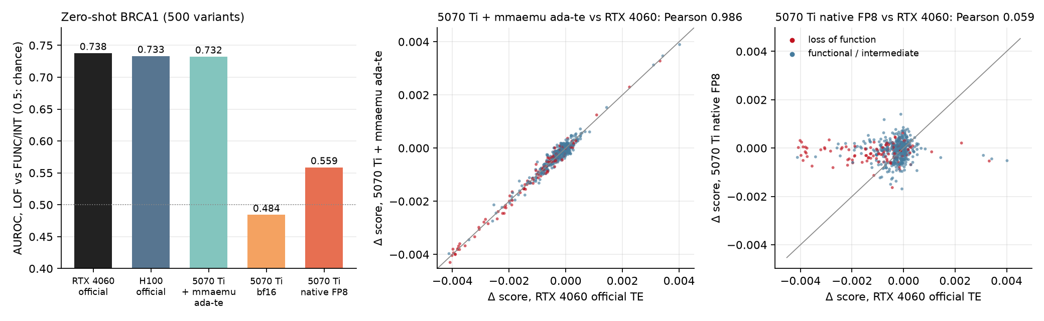 Left, AUROC of the zero-shot BRCA1 task (500 variants): official RTX 4060 0.738, official H100 PCIe 0.733, RTX 5070 Ti with mmaemu (ada-te) 0.732, with bf16 projections 0.484, with native FP8 0.559. Middle, each variant's score change on the RTX 5070 Ti with mmaemu against the official RTX 4060's: Pearson 0.986, along the diagonal. Right, the same with native FP8: Pearson 0.059.